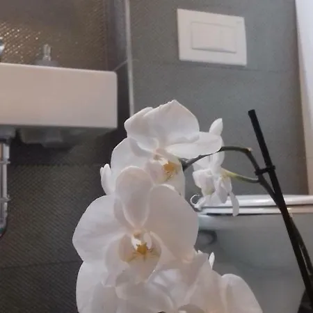 Luxury Kala 2 公寓 波雷奇