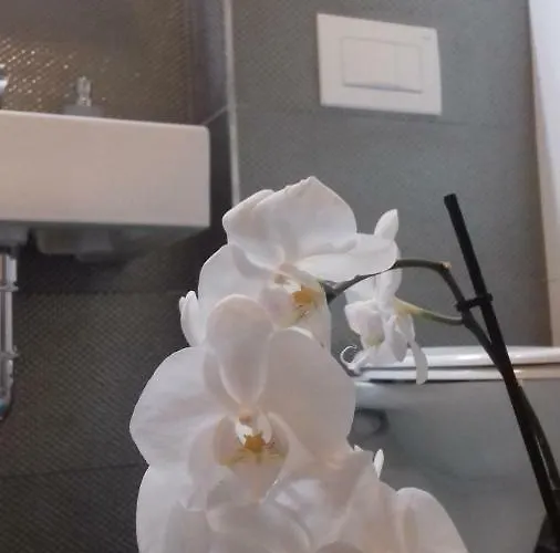 Luxury Kala 2 Appartamento Porec